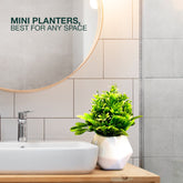 Diamond Ceamic Pot - Zeegalleria