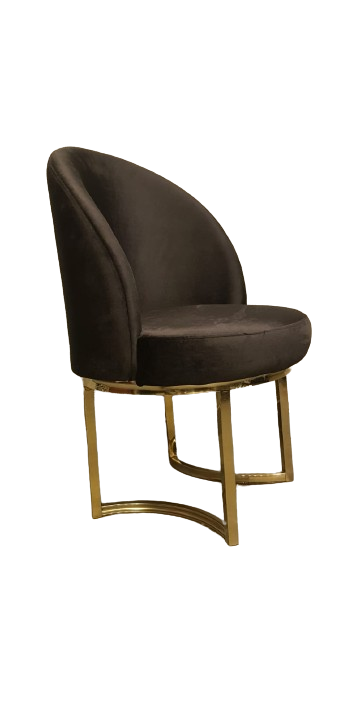 Modern Upholstered Dining Chair