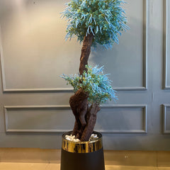 Blue Plant Medium With Planter - Zeegalleria