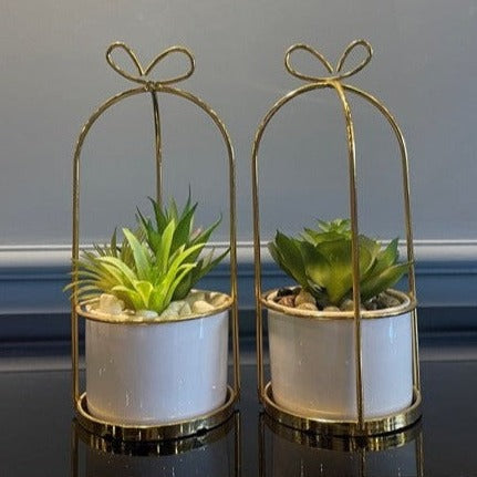 Pot Cage Golden Small - Zeegalleria