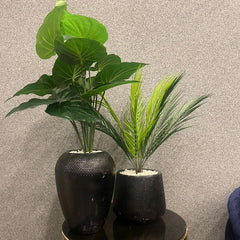 Black Texture Planter - Zeegalleria