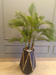 Palm Plant Tree with Planter