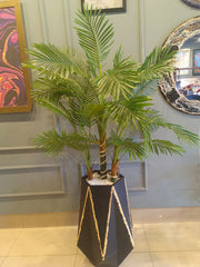 Palm Plant Tree with Planter