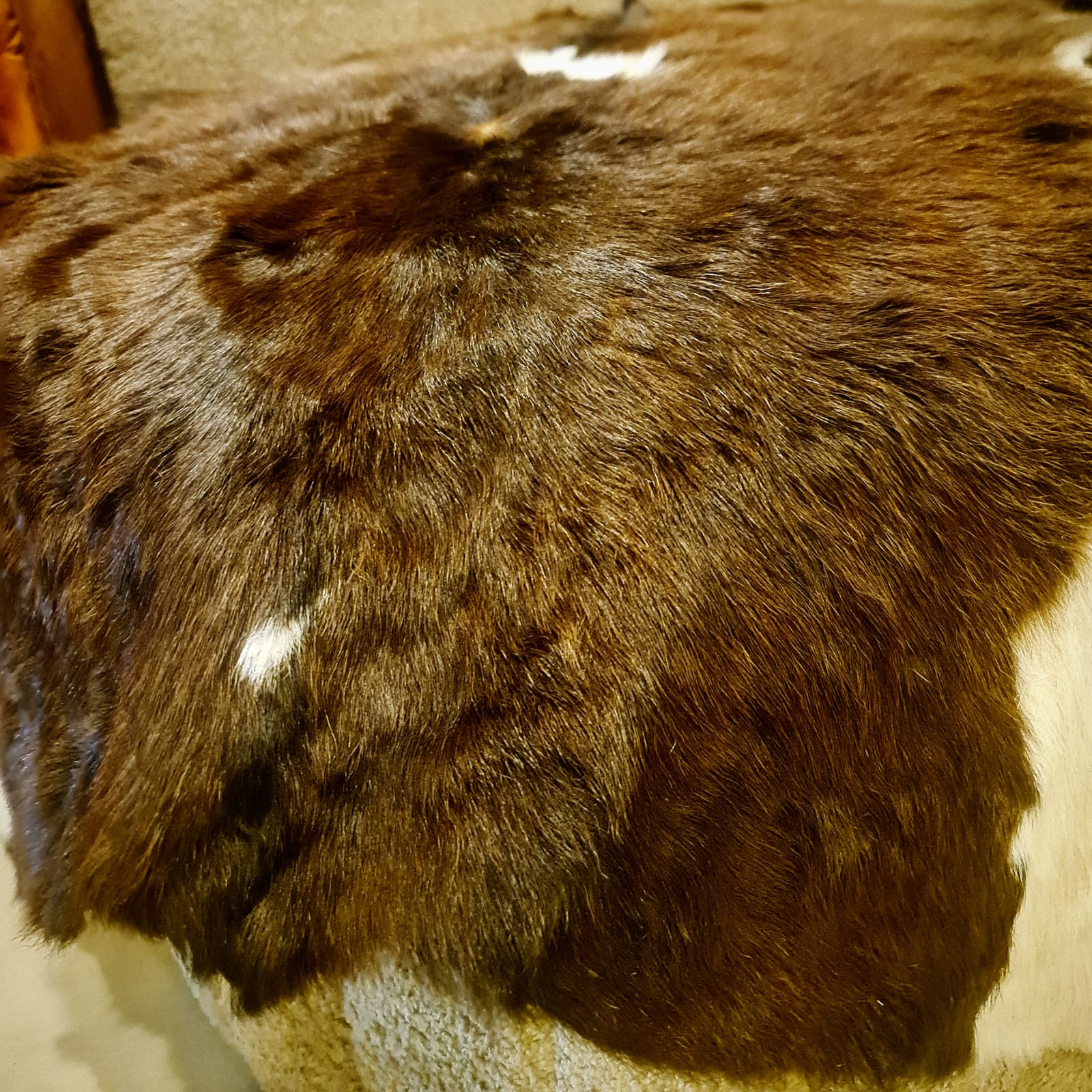 Real Goats Skin Fur Pelts